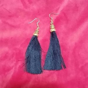 Nwot Stunning Earrings